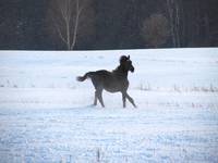 freedom - ostatni powiew zimy:)