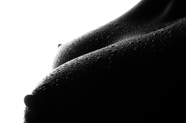 B/W Body