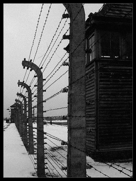 KL Auschwitz- Birkenau