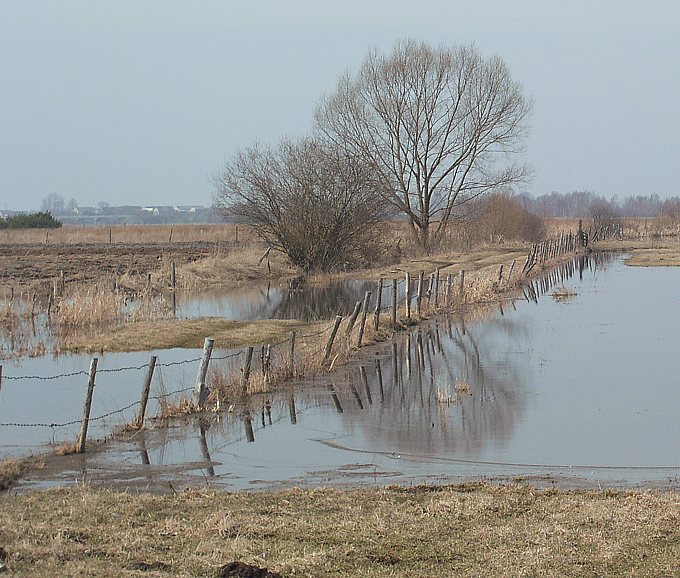 szerokiej drogi