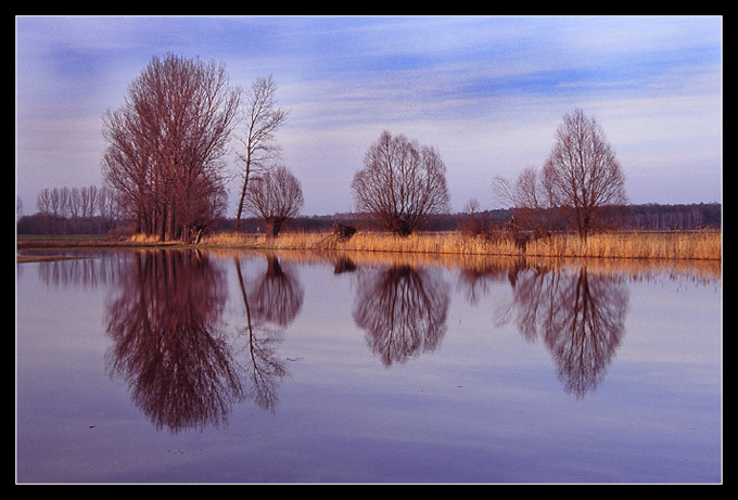 ...wielkopolskie klimaty...