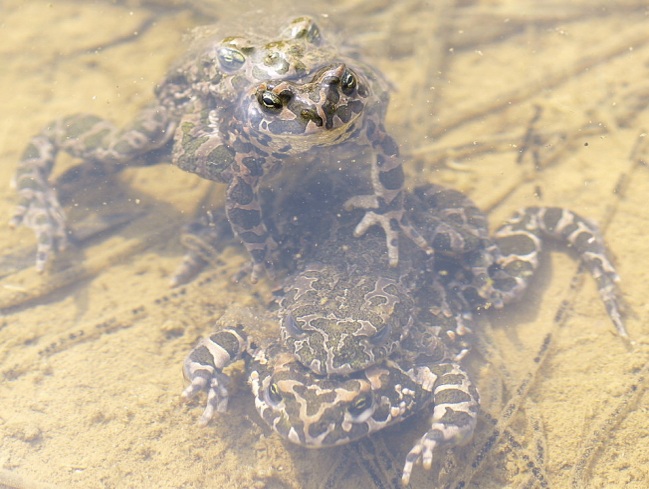 Ja byłam pierwsza, co się pani wpycha na chama