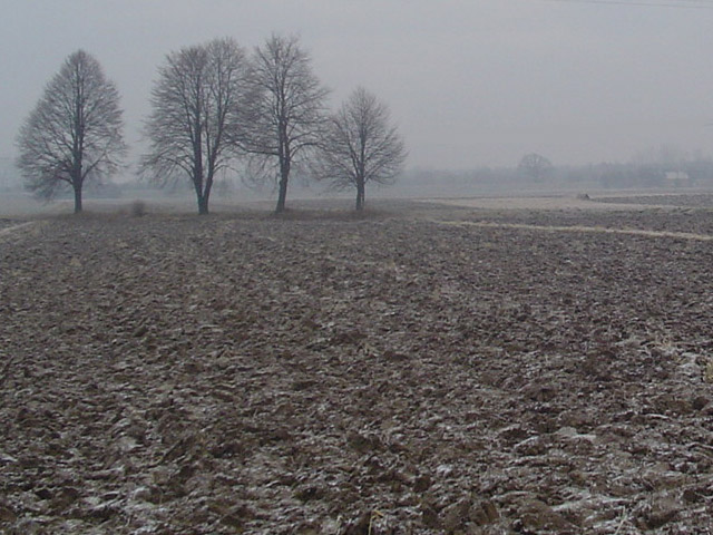 Wracając do Listopada...