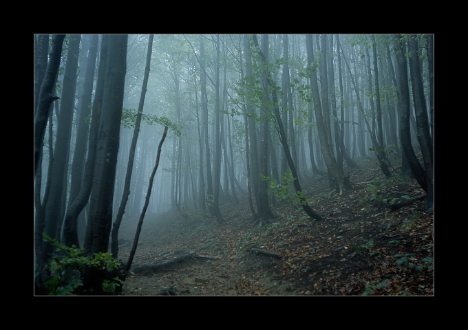 Bieszczady wrześniowe [1]