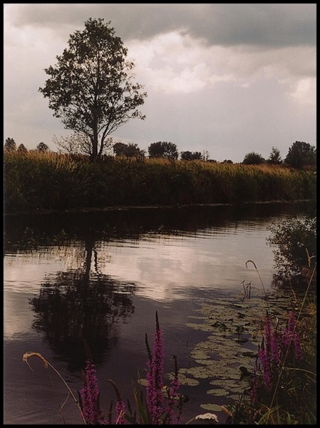 Razem z rzeką płyną wspomnienia, marzenia...