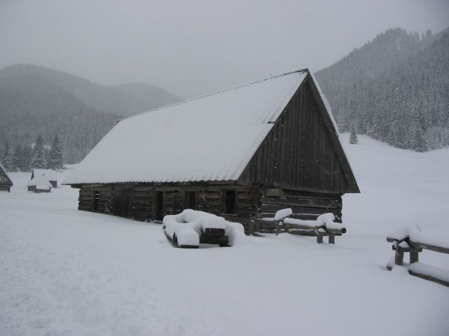 śnieżyca w Dolinie Chochołowskiej