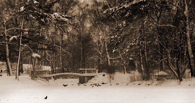 Park zimą...