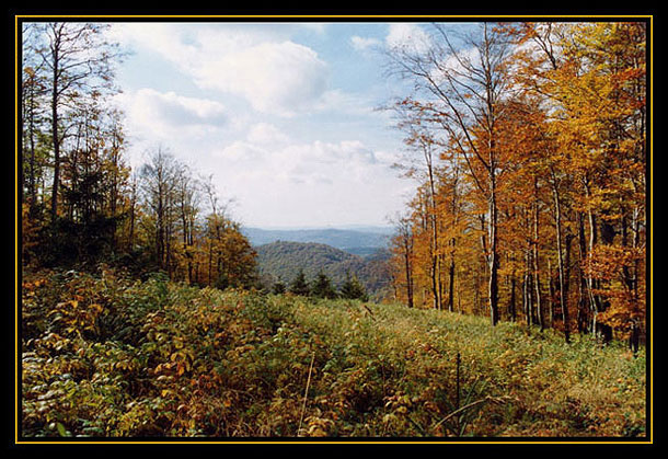 Bieszczady '98