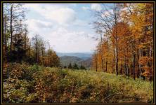 Bieszczady '98