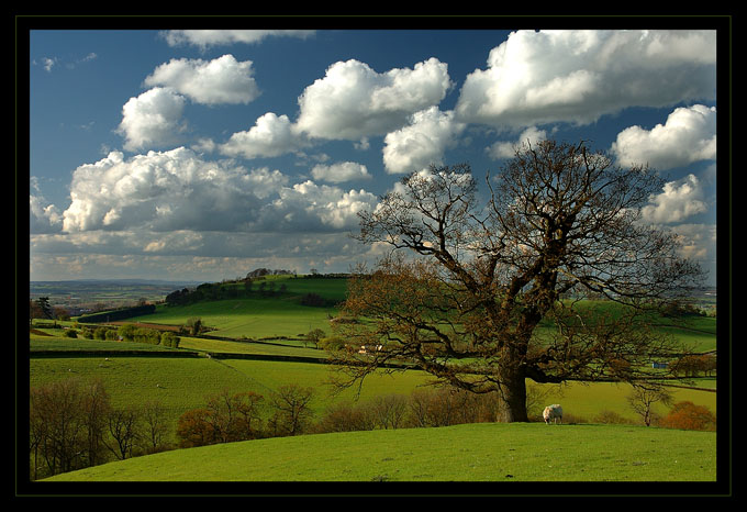 Heart of England III