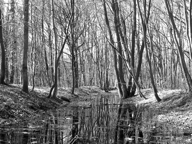 nadmorski park w Kołobrzegu