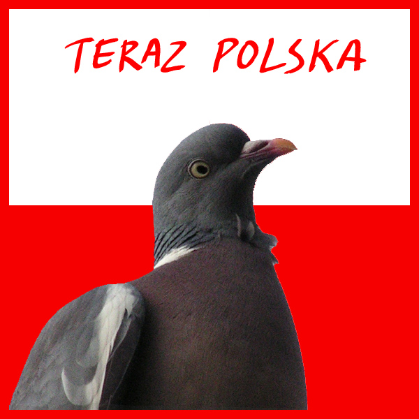 Teraz Polska