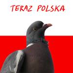 Teraz Polska