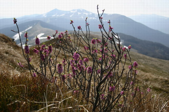 Bieszczady - 1.V.2005!