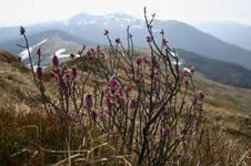 Bieszczady - 1.V.2005!