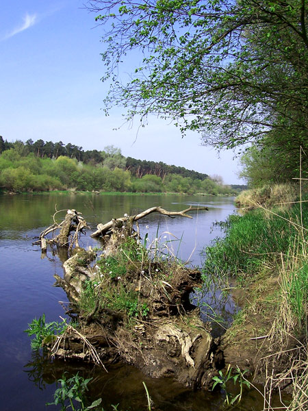 południe nad rzeką