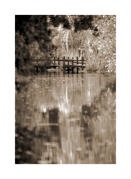 steps on the water