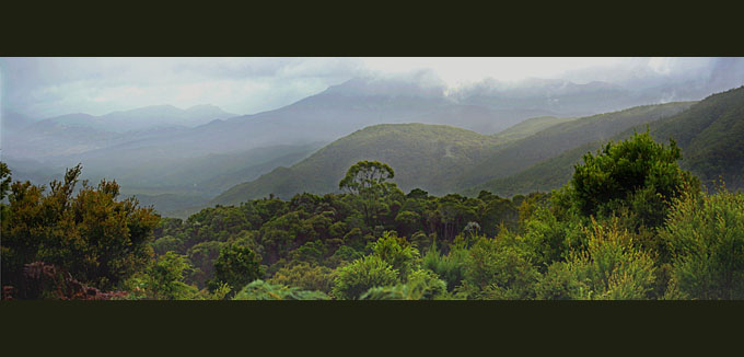 Tasmania