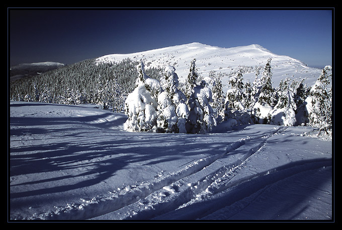 Babiogórskie ski toury