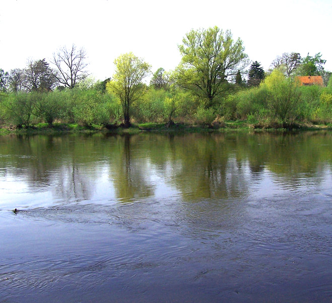 wiosennie nad rzeką