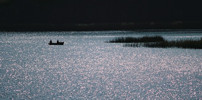 Mazury