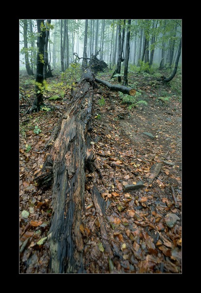 Bieszczady wrześniowe [2]