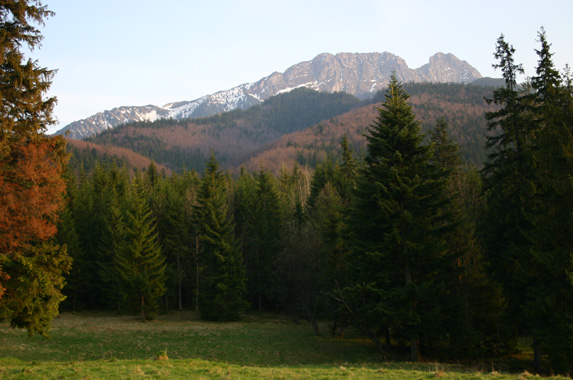 Polana z widokiem na Giewont