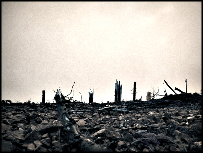 .wasteland.