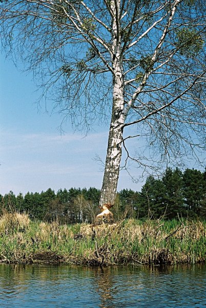 Niedokończona inwestycja