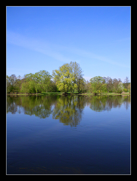 Narew