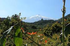 Pico del Teide