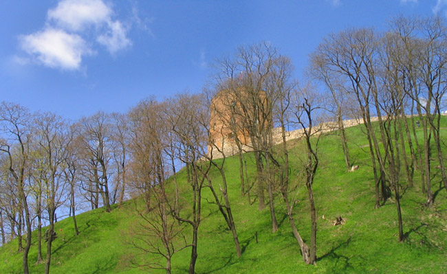 Niebiesko/Zielony