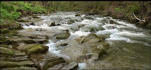 Górzenka (Bieszczady)