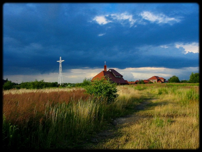 złotoniebieski