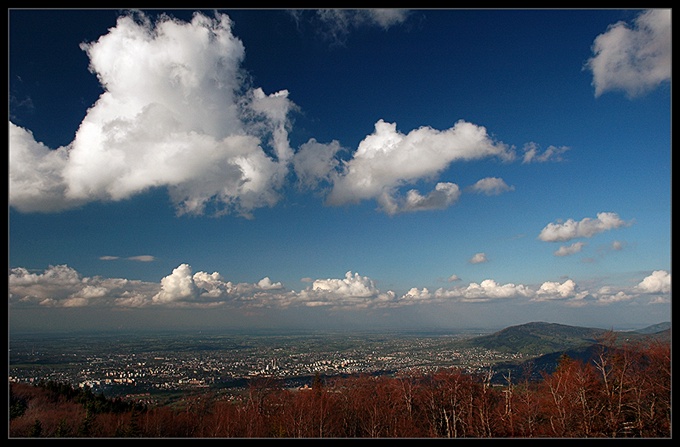 Bielsko-Biała...