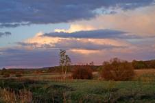 łąki nad stawami w Rębiszowie