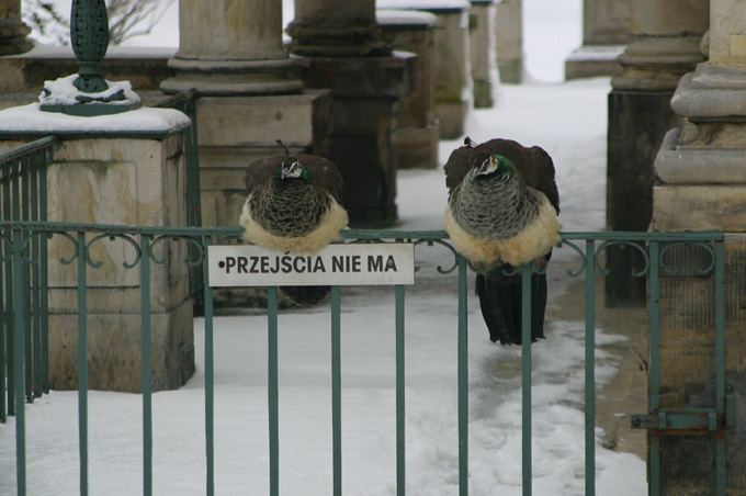 :) straż :)