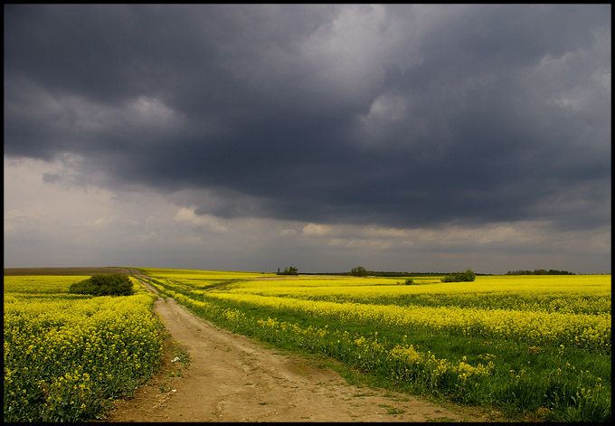 Przed burzą