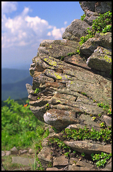 Bieszczady trochę bliżej