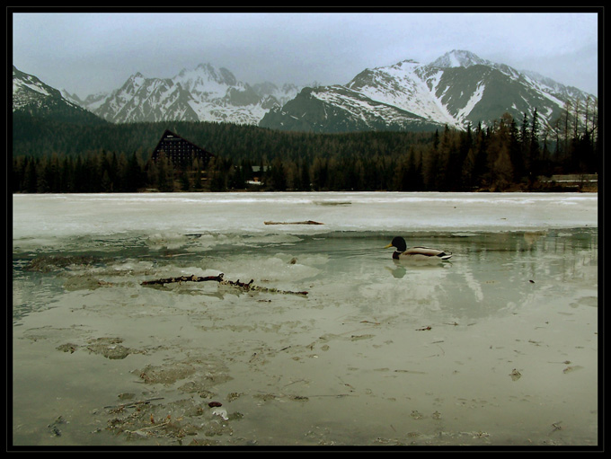 Štrbské pleso