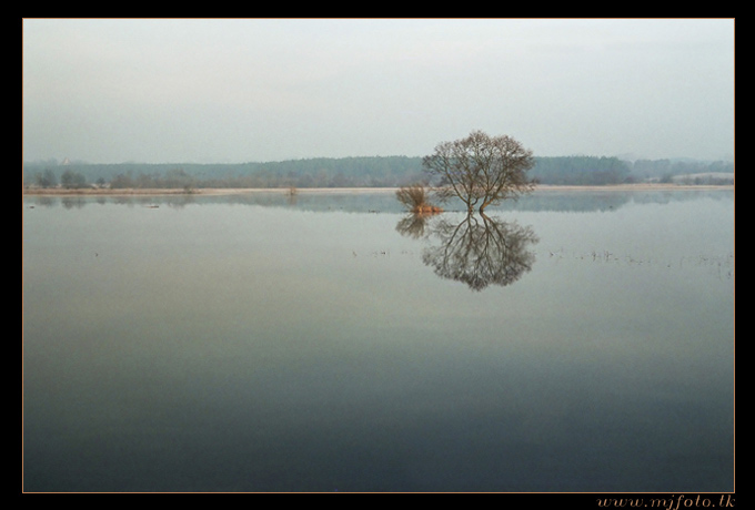 Narew niedaleko Wizny