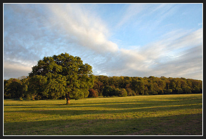 Blaise Park o zachodzie ::..