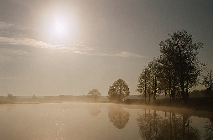 Poranne majowe mgły