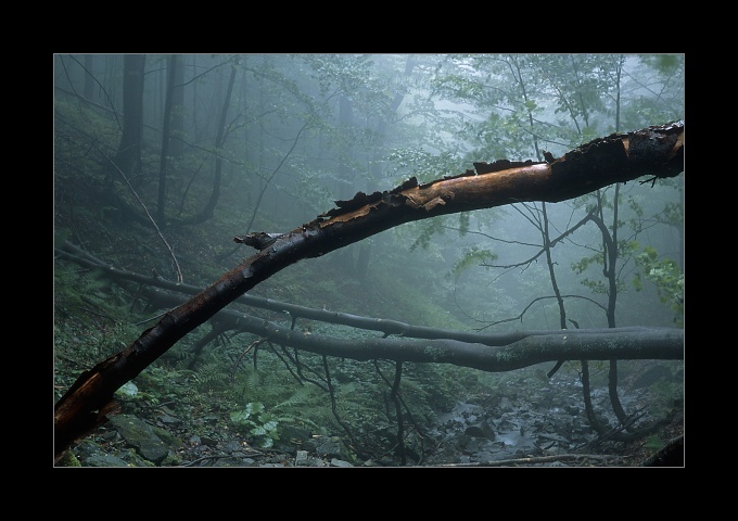 Bieszczady wrześniowe [3]