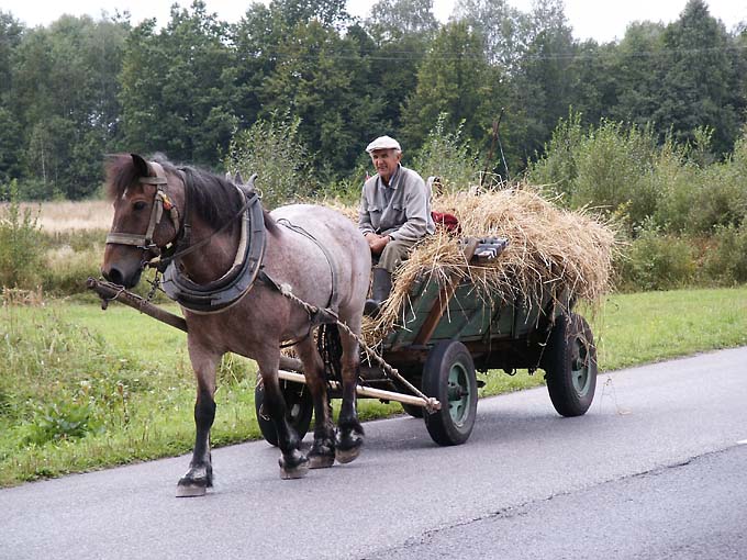 Zanikające obrazki