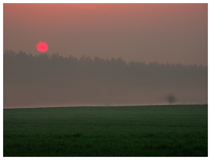 ...i stała sie światłość....