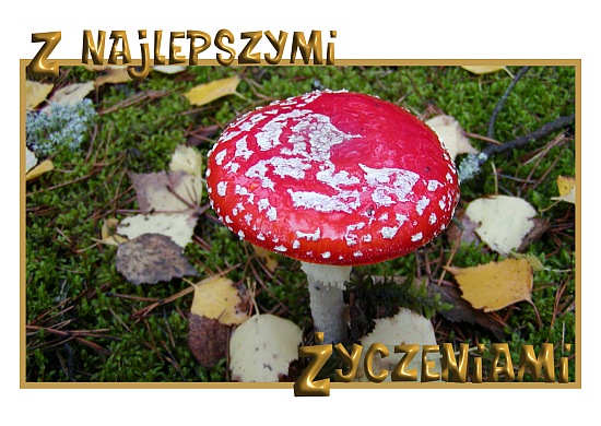 Najlepszego