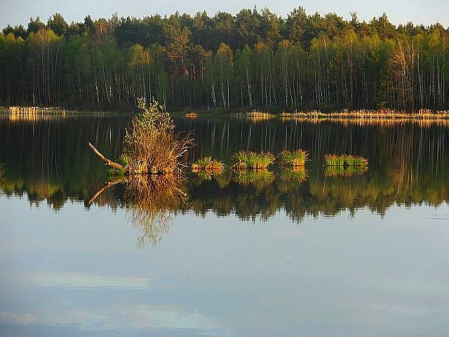 To jakiś potwór!!