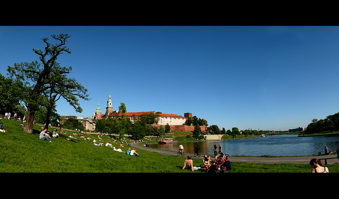 Wawel okiem ryby