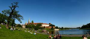 Wawel okiem ryby